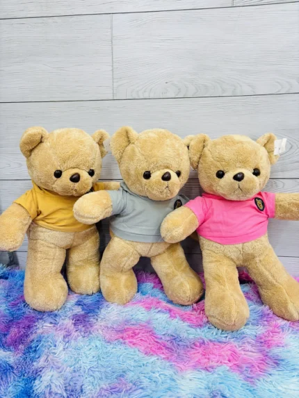 Oso capucha 50cm