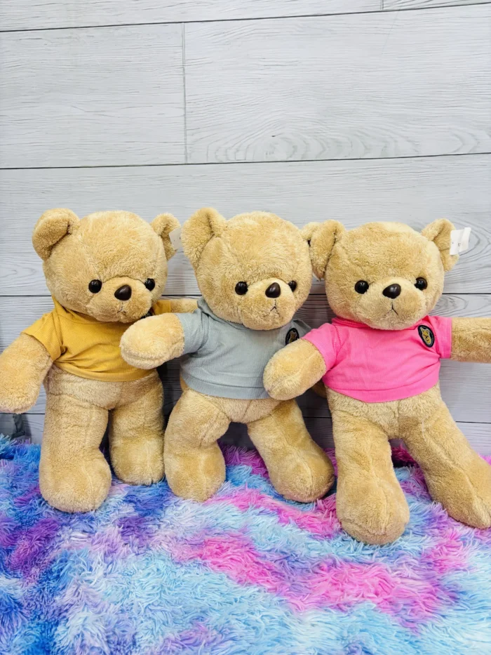 Oso capucha 50cm - Imagen 1