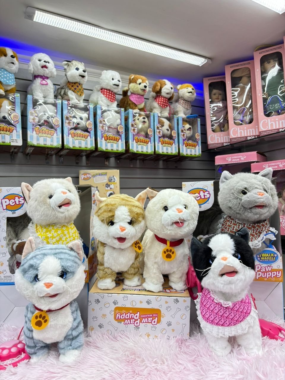 2025/10/IMG-20251103-WA0099.jpg Gatos Interactivos - Imagen 1