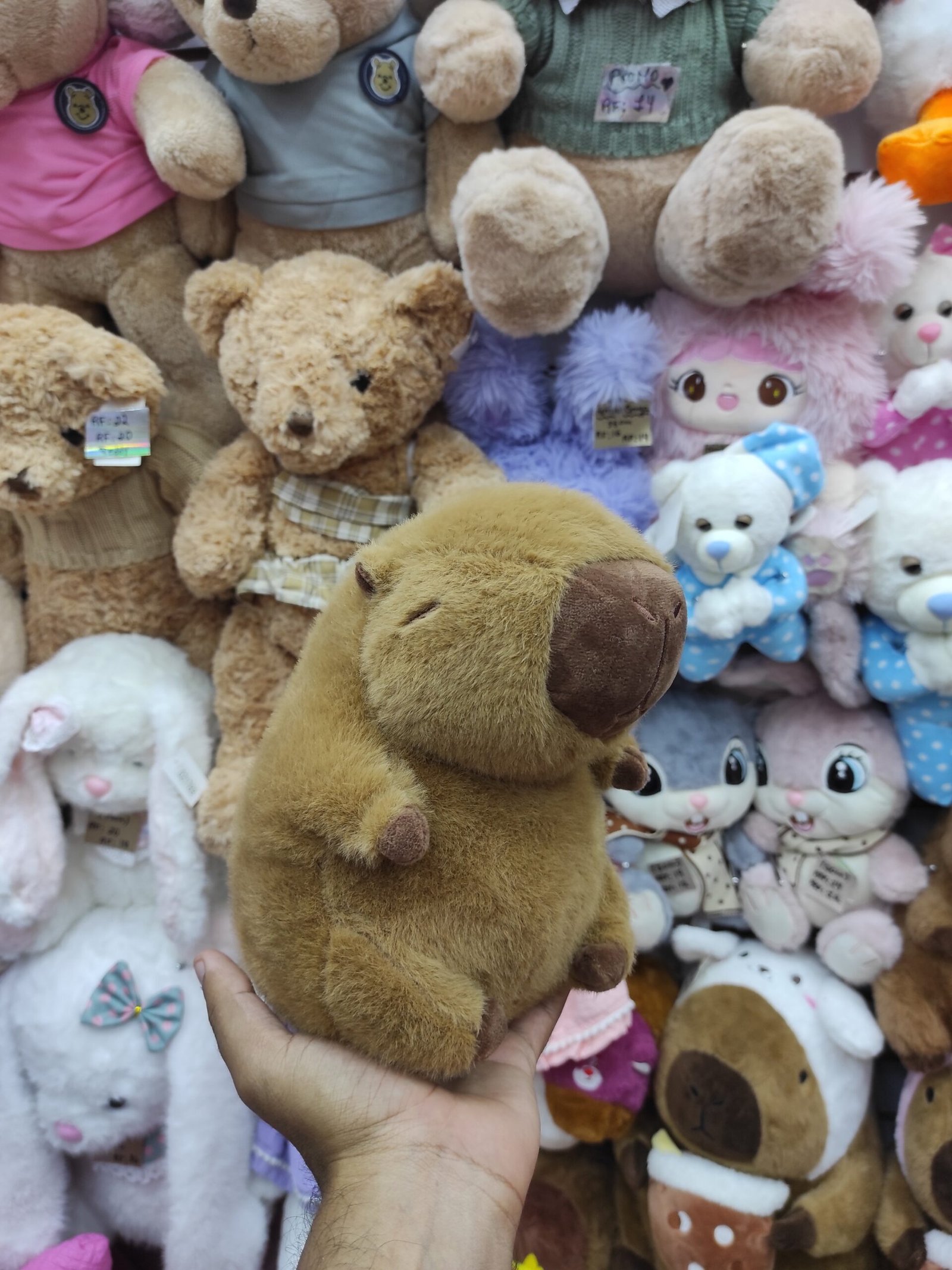 2025/10/JPEG_20251009_124027_8692740448516778441-scaled.jpg Capibara tipo Original 20cm - Imagen 1