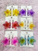 Mini Ganchetas Hawaina